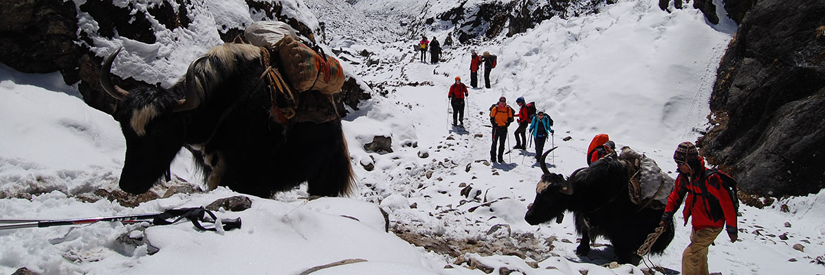 Camp de Base de l’Everest et Kalapathar Trek