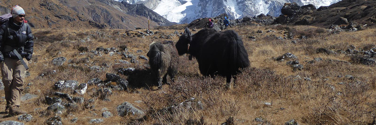 Kangchenjunga Trek
