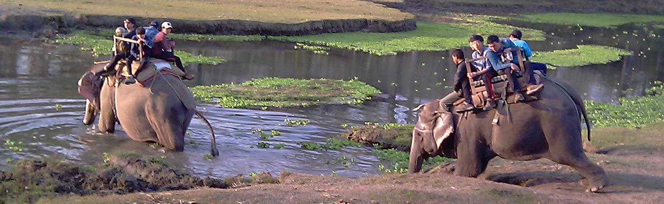 extension-safari-de-chitwan